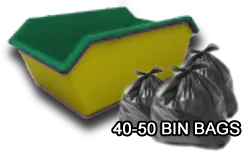 skips surbiton